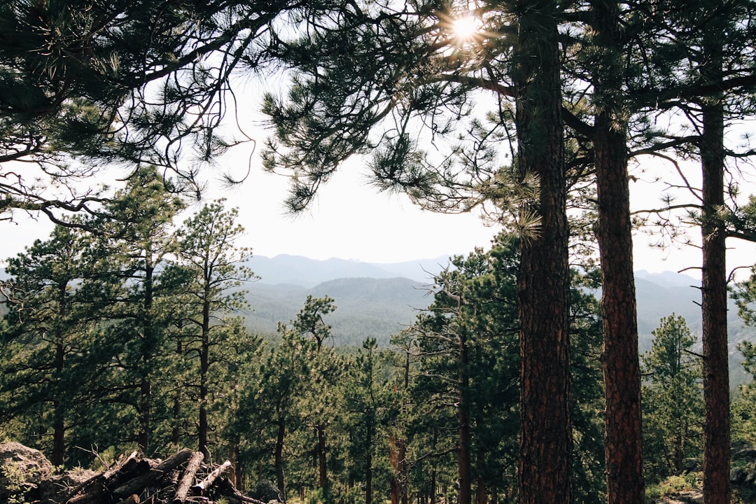 The Art of Budget-Friendly Outdoor Travel: Explore More for Less